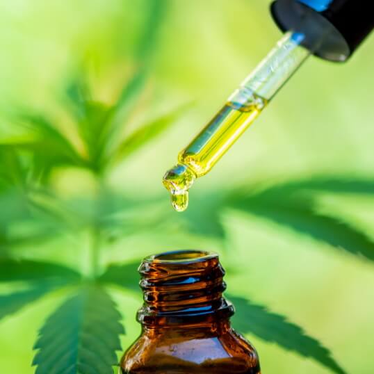 שמן CBD